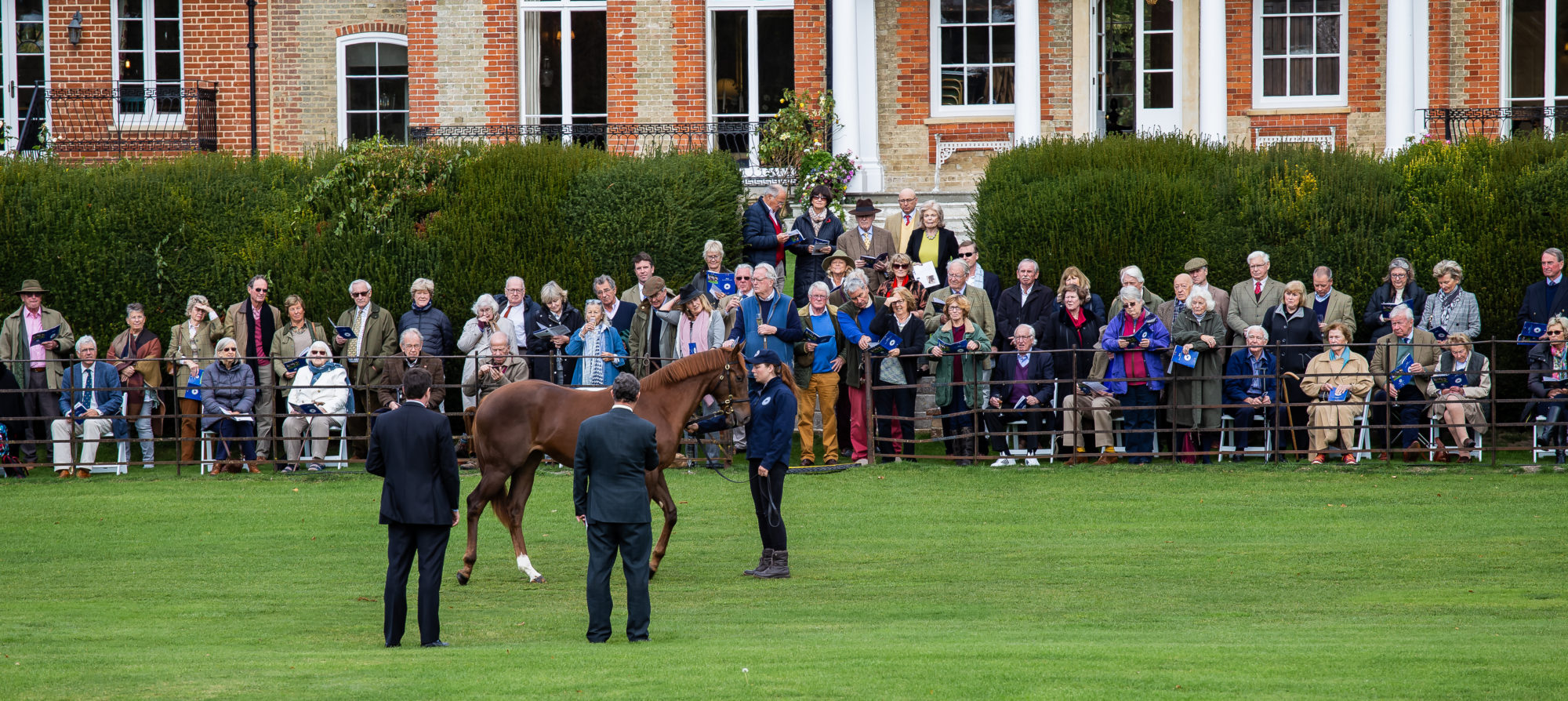 Kennet Valley Thoroughbreds