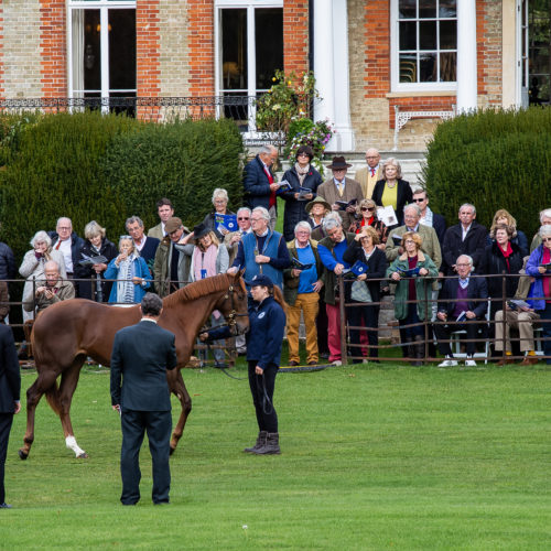 Kennet Valley Thoroughbreds